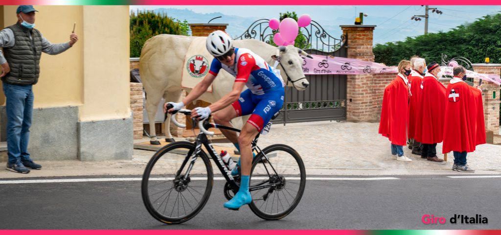 Il Giro d'Italia nelle terre del Fassone di Razza Piemontese