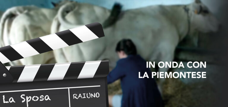 Va in onda la Piemontese