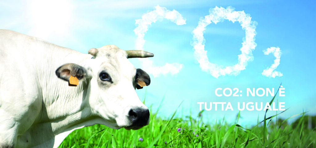 CO2 non tutta uguale