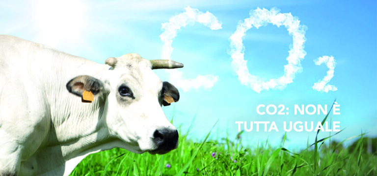 CO2 non tutta uguale