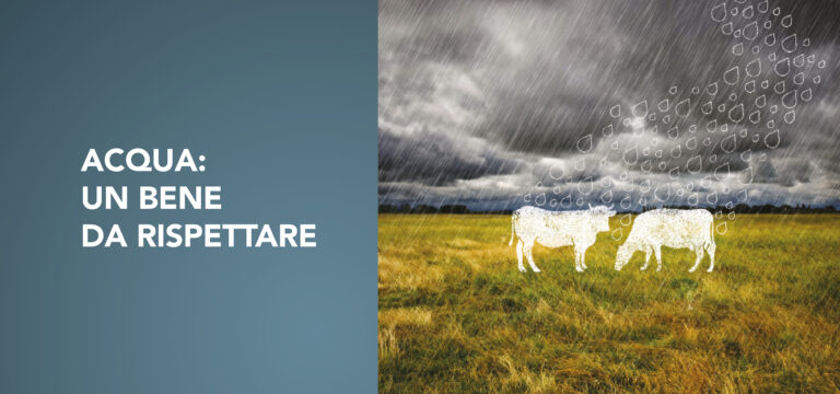 Acqua: un bene da rispettare