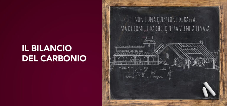 I gas climalteranti sotto la lente imparziale del bilancio