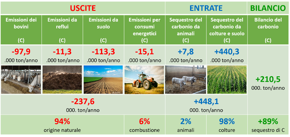 bilancio del carbonio