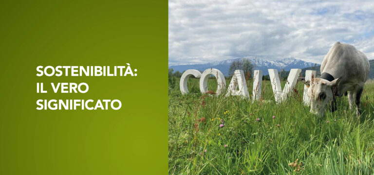Sostenibilità: il vero significato