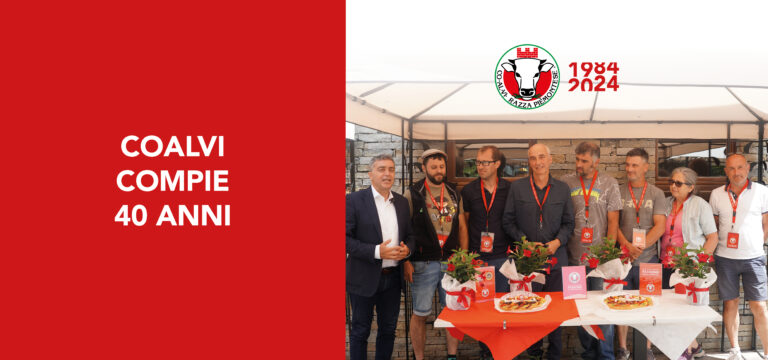 coalvi 40 anni