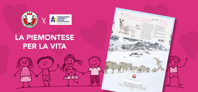 La piemontese per la vita