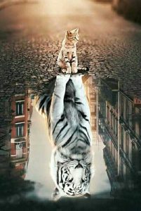 Immagine e Identità nel marketing